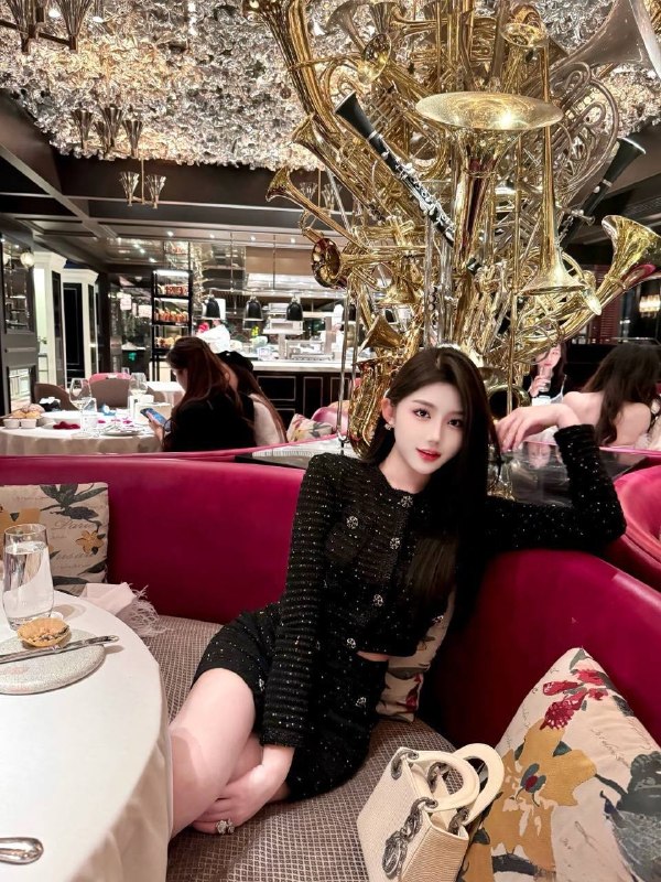 #上海 白鸽172D 图片 2